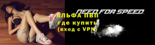 винт Сатка